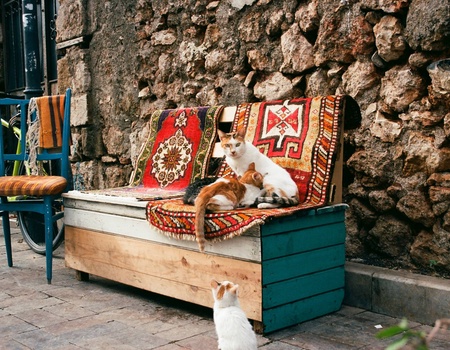 Circuit Sur les traces des sultans et des fées : de la capitale aux rivages d'Antalya - 2