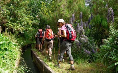 Madère Saveur Rando 3* - Madère - 3