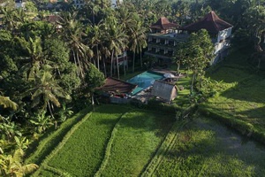 Séjour-combiné Vol + hôtel Bali 3* - The Artini Dijiwa Ubud + Parigata Sanur - 2