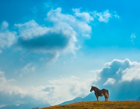 Circuit individuel: La grande traversée du Japon en 3 semaines! - STD* - 2