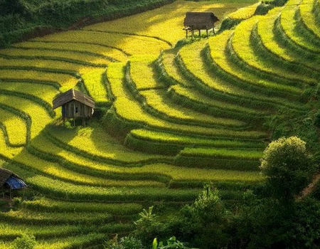 VIETNAM INTIMISTE EXT CAMBODGE - 4