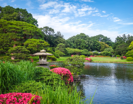 Circuit Au Coeur du Japon & 3 nuits Tokyo - 1