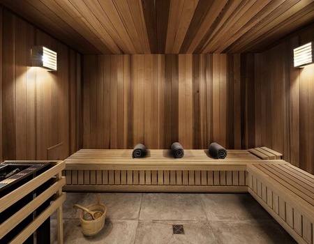 Hôtel Les Suites d'Alexane  4* - Haute Savoie - Samoëns, Alpes du Nord - Image 3