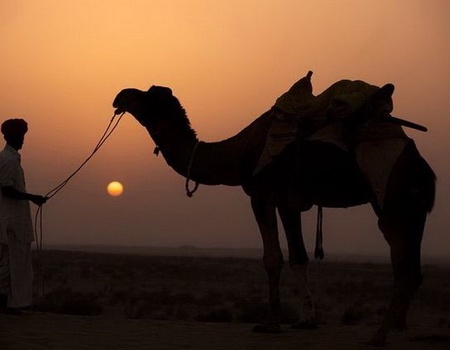 CIRCUIT RAJASTHAN BUISSONNIER - 3