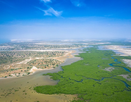 Combiné Circuit Découverte de la Mangrove 3* et Ôclub Experience African Village Bougainvillées 3* - 2