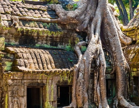 LA CANTATE EXT HALONG PT PANORAMA CAT DELUXE - 2