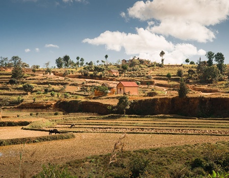 Circuit Mosaïque Malgache - 1