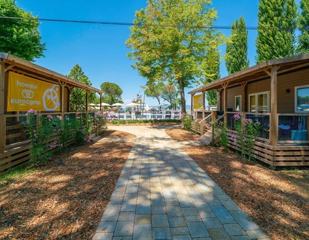 Trasimeno Glamping Resort 5* - 5