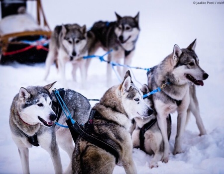 Circuit légendes boréales à Rovaniemi - 2