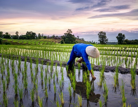 Les Incontournables du Vietnam 12J/9N - Limité à 24 pers.