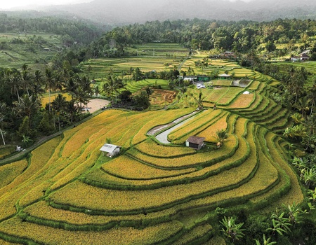 Circuit De la jungle d'Ubud aux vagues de Nusa Lembongan **** - 2