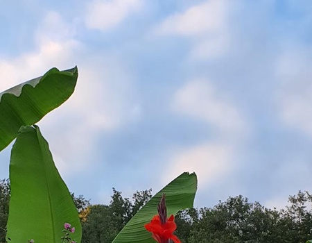 Camping Moulin de David 4* - 5