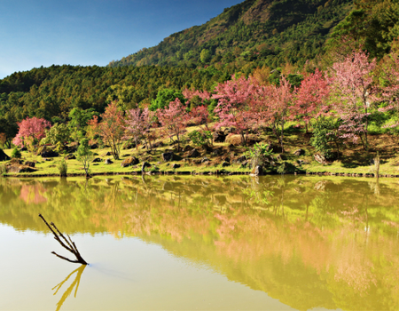 Circuit Trekking et Aventures, sur la Piste des Tribus du Nord - 1