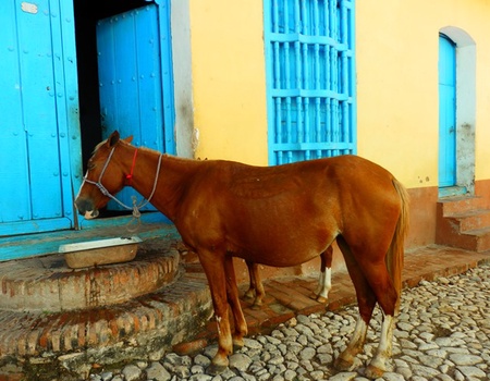 Ouest Classique avec extension - Catégorie Essentielle - Avec location de voiture - 4