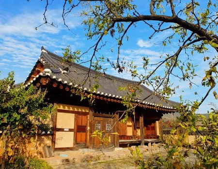 LE ROYAUME DU MATIN CALME EXT JEJU - 4