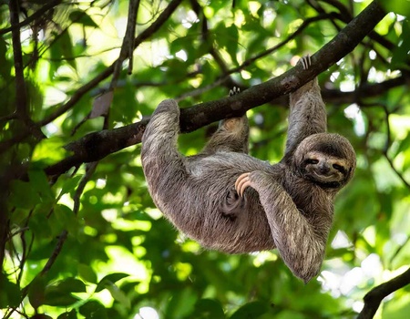 Circuit Découverte du Costa Rica - Extension Parc naturel Rincon de la Vieja - 1