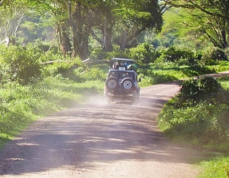 Circuit Sur les pistes de Tanzanie avec le Serengeti