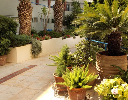 Hôtel Smart Club Ibiscos Garden 4* - 4