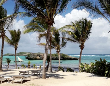 Ôclub Exp Sun Palm Beach Hotel & Resort 4* + Safari - 4