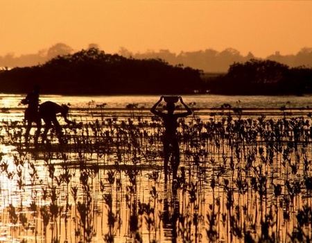 Circuit Beautés du Sénégal au coeur des Chefferies en privatif *** - 4