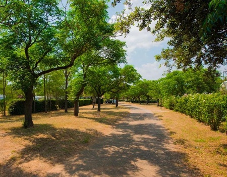 Camping Mas des Roses, 3* - 4