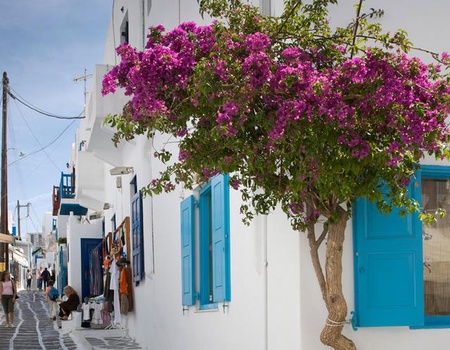 Combiné Athènes / Mykonos / Paros - 5