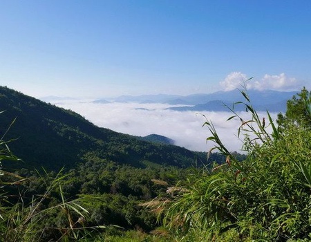 CIRCUIT YUNNAN AUX ORIGINES DU THE - 4