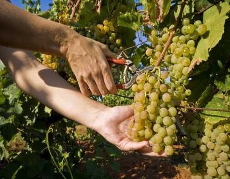 Autotour Escapades vertes en Istrie et en Slovénie 8 jours - De Pula A Pula - 3
