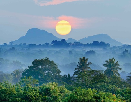 Circuit Privatif - Beautés Cachées du Sri Lanka - 1