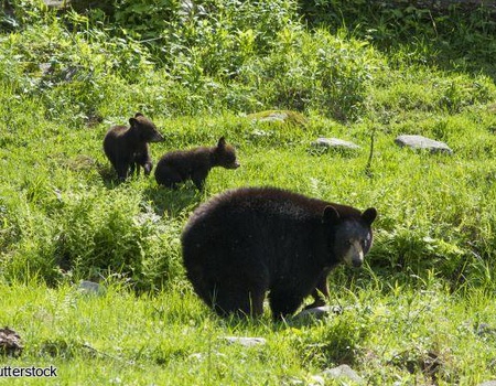 2026 - Circuit Privilège Canada arrivée Toronto - 25 personnes maximum