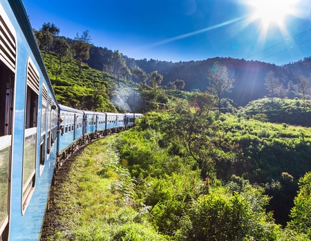 Circuit Découverte et détente au Sri Lanka - 1