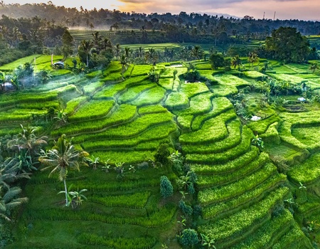 Perles de Bali & Java - extension 2 nuits à Sanur -15J/12N 2026 - 2