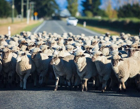 Regard sur l'Irlande 2026 - 8 jours / 7 nuits - 3