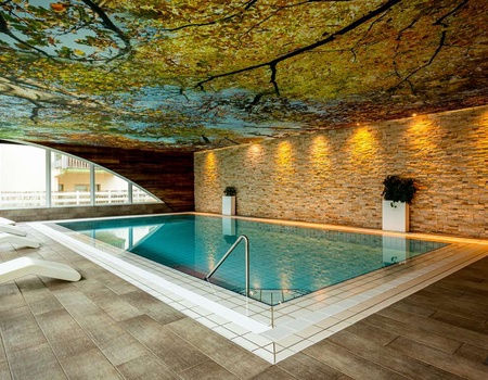 Escapade dans les Vosges avec spa - 3* - 2