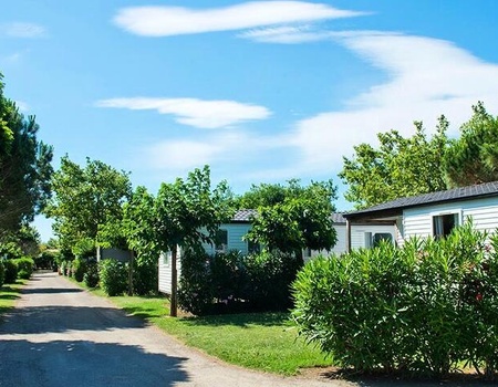 Camping Le Roussillon 4*- Maeva - On aime - Pyrénées-orientales - Saint Cyprien, Languedoc Roussillon - Image 5