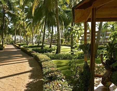 Hôtel Iberostar Waves Punta Cana 5* - 3