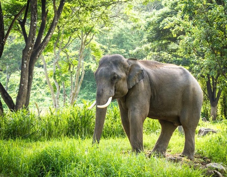 THAÏLANDE | Bangkok, Chiang Mai & Khao Lak en hôtels 4* - 2