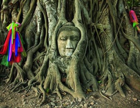 Splendeurs de Thaïlande Hôtel 3/4* extension Koh Samed 4*13J/10N - 2025 - 1