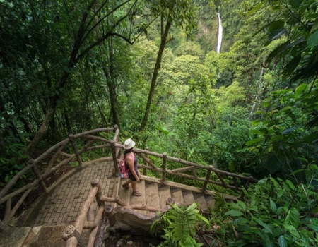 Autotour Détente au Costa Rica - Costa Rica, Amérique du Sud - Image 4