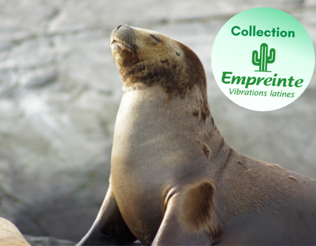 Circuit Contrastes de la Terre de Feu et du Nord Argentin - 1