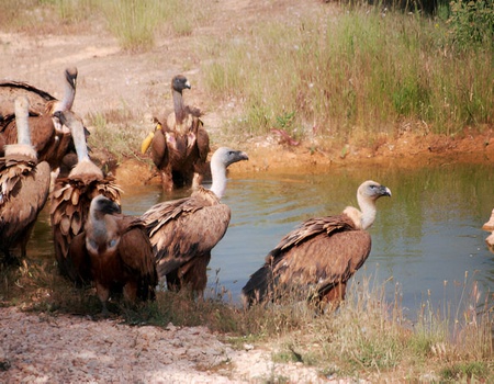 Circuit Perles du Rajasthan - De New Delhi A New Delhi - 3