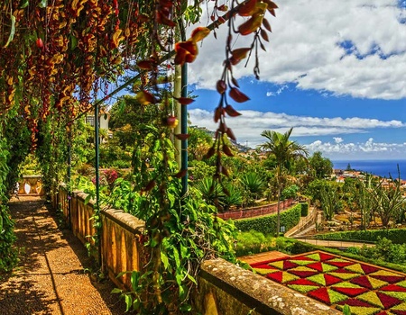 Circuit Echappée Jardins de Madère depuis l'hôtel Dreams Madeira Resort Spa & Marina 5* - 4