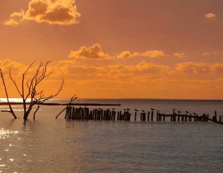 Circuit Autotour, de la Lagune de Bacalar à l'île d'Holbox - 5