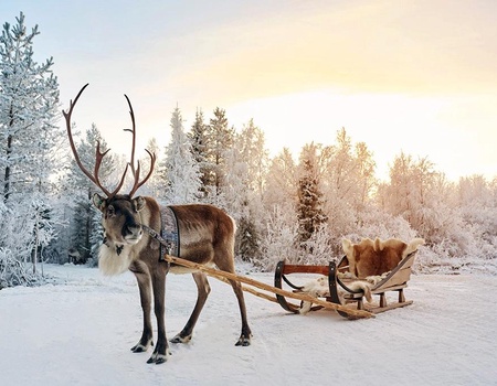 Hôtel Suomutunturi - Activités incluses - Rovaniemi, Finlande - Image 1