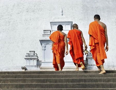 Circuit Privé Ceylan en liberté + séjour Negombo 4* - Sri Lanka - 1