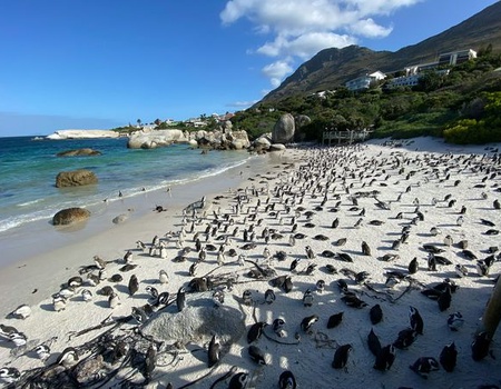 Merveilles d'Afrique du Sud 15J/12N - 2025/2026 - 5