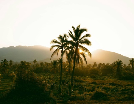 Circuit Rêve caribéen : voyage d'exception à travers les visages de la République Dominicaine - 1