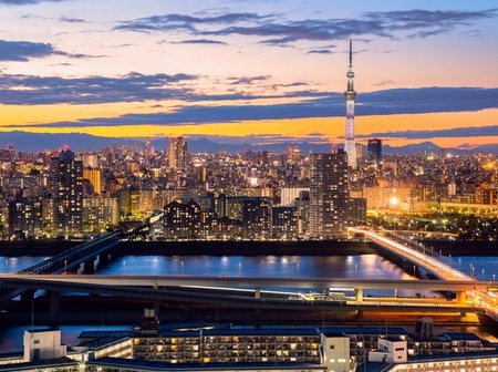 Circuit individuel : Au coeur du Japon en 3* ou 4* - Osaka, Japon - Image 2