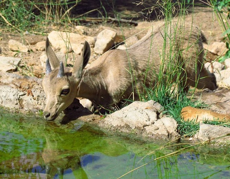 Jordanie Nature Et Aventure 4* - 3