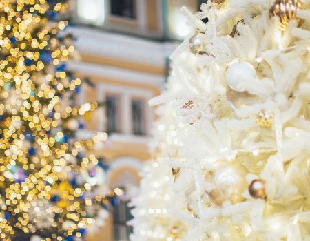 Douce Nuit de Noël : Confort, petit-Déjeuner et Bulles Festives - 4* - 1